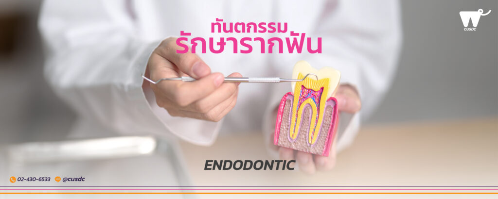รักษารากฟัน (Endodontics Treatment)